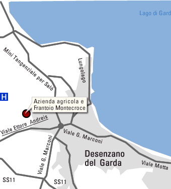 Garda lake map