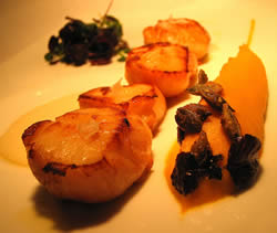 Golden-brown scallops with pumpkin pure and parmesan cream with Montecroce extra-virgin olive oil